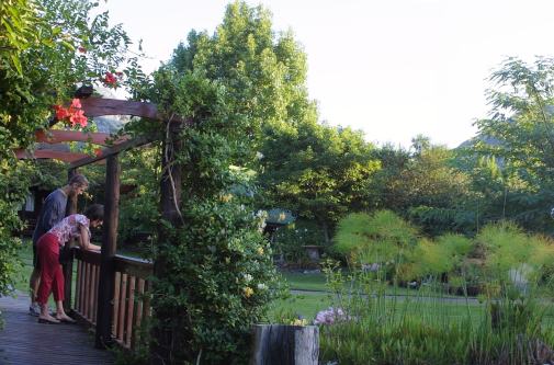 Tsitsikamma Lodge (5)